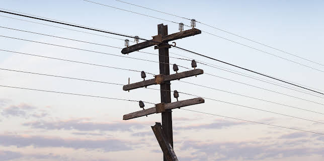 18:55: Hvordan den lages (S23 E24) (S23) | Discovery Science | 11/7 2025