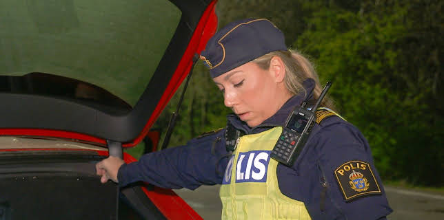 20:00: Gränsbevakarna Sverige (S7 E2) (S7) | Kanal 5 | 1/27 2026