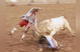 Risk Takers: Bull Fighters