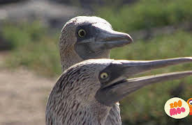 Lost!: Flash And The Deadly Drought