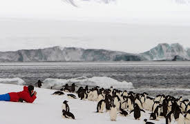 Polar Explorations: Photographing Polar Landscapes