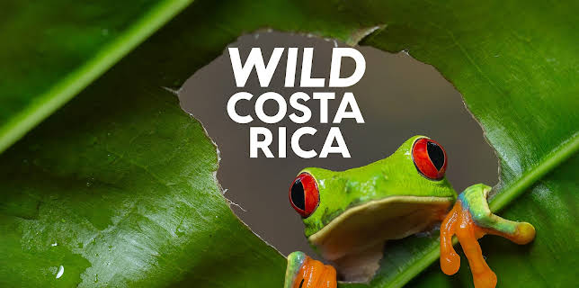 Wild Costa Rica