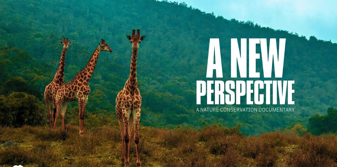A new perspective - A Nature Conservation Documentary (2024)