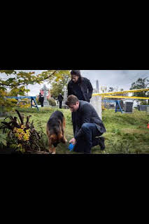 09:45: Hudson y Rex (T1): Ep.4 Día de clase | AXN | 3/30 2026