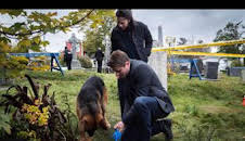 Hudson y Rex (T1): Ep.4 Día de clase