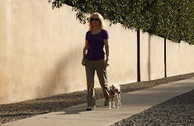 Dog: Impossible: Dangerous Dynamics