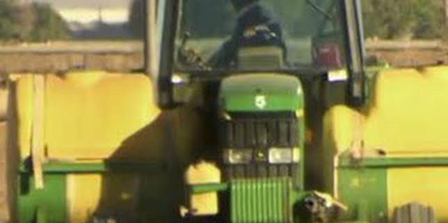 22:00: ¿Cómo lo hacen?: Ensalada / Cuerda / Insulina | Discovery Max | 1/29 2026