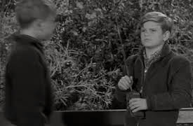 The Munsters Season 1: If A Martian Answers, Hang Up