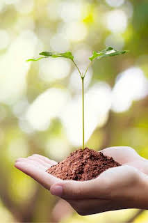 07:21: Branchés | TV5MONDE | 3/31 2026