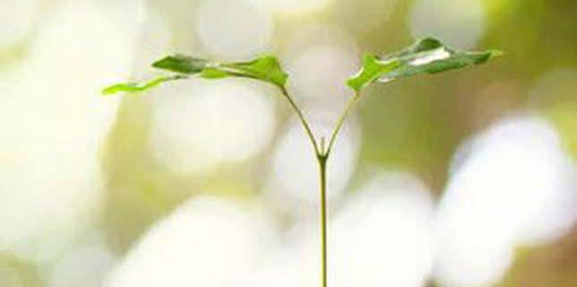 10:09: Branchés | TV5MONDE | 3/19 2026