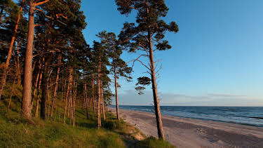 11:50: Abenteuer Wildnis (1/2) | BR Fernsehen | 4/23 2026