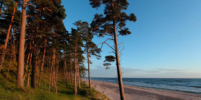 01:45: Wildes Baltikum (1/2) | RBB Fernsehen | 11/5 2025