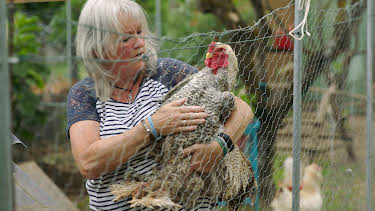 16:30: natur exclusiv | BR Fernsehen | 4/11 2026