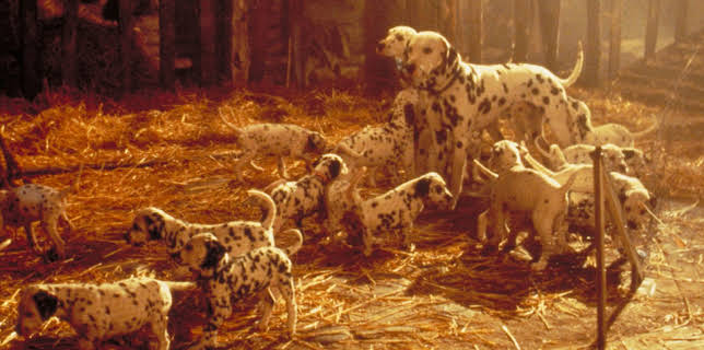 101 Dalmatiner (1997)