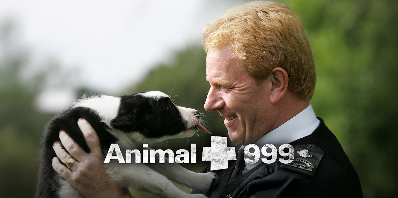 Animal 999