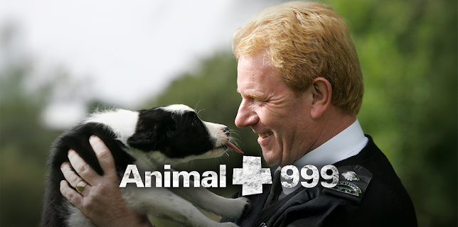 Animal 999