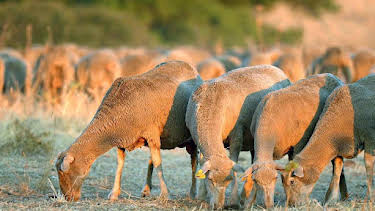 13:10: Stadt Land Kunst | Arte | 4/8 2026