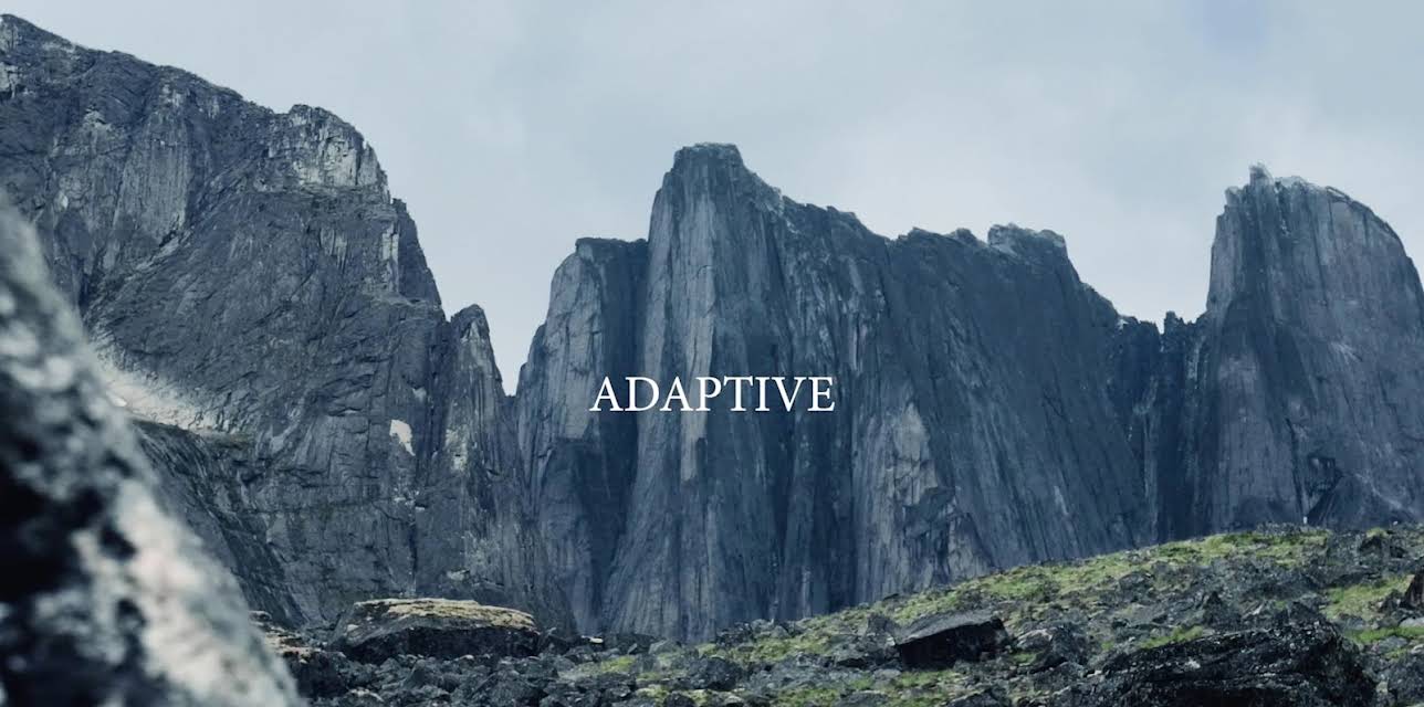 Adaptive