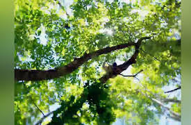 Rat B*stards: When Hunters Become The Hunted