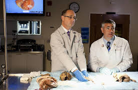 The Weight of the Nation, Season 1: The Weight of the Nation: Can a Lifetime of Excess Weight Lead to Heart Disease?