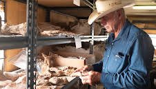 Dino Hunters (S1 E4)