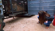 Shipping Wars (S7 E7)