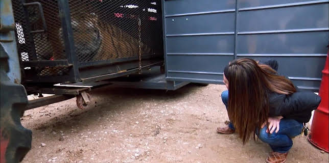 10:30: Shipping Wars (S7 E7) (S7) | TV10 | 12/11 2025