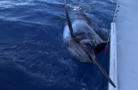 Extreme Fishing XL: Episode 1