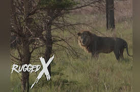 Rugged Expeditions with J Alain Smith: The Moyowosi King - Lion Hunt with J. Alain Smith