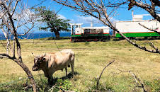 Mit dem Zug auf St. Kitts