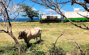 Mit dem Zug auf St. Kitts