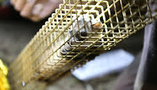 Dyrlegen i Rocky Mountain (S4 E14)