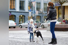 Dog Training 101: Fear and Aggression Prevention