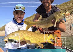 Recechando barbos con paseantes