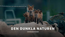 Den dunkla naturen