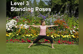 Yoga for Seniors with Jane Adams (2nd Edition): 3 Complete Practices: Level 3 Standing Poses