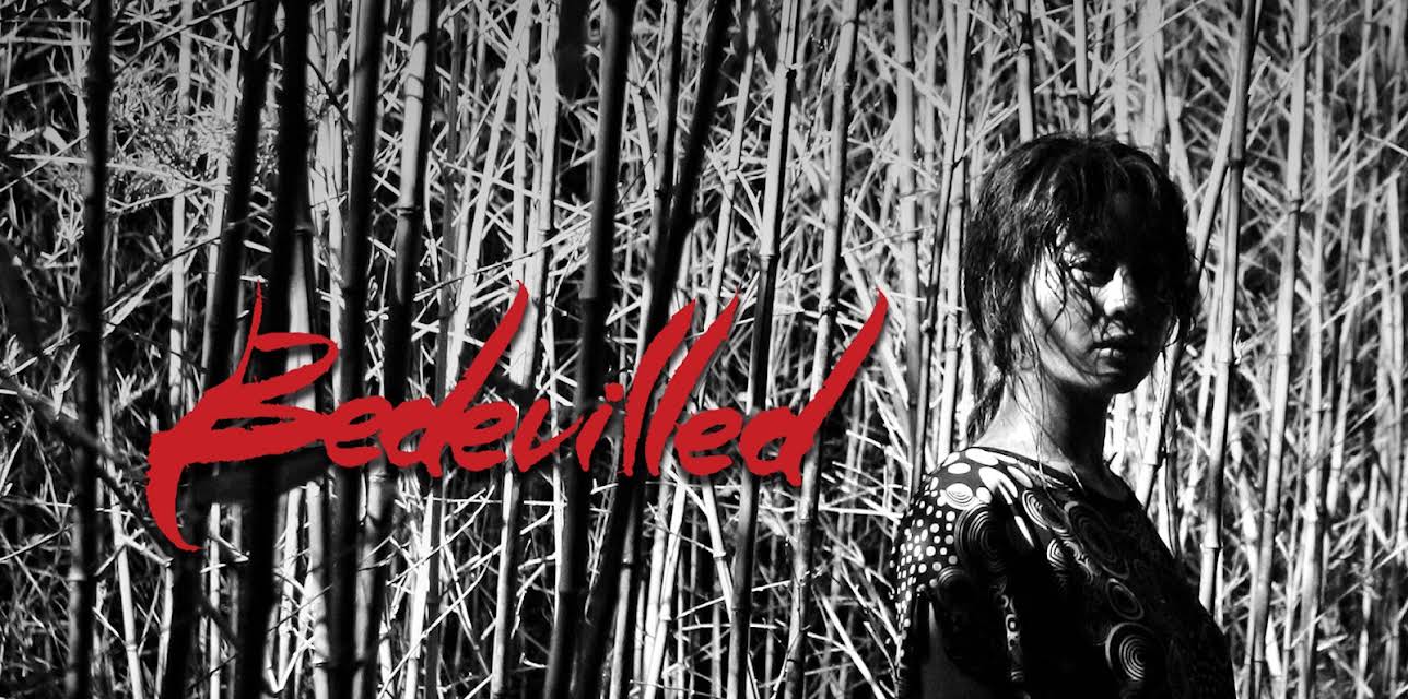 Bedevilled (2010)