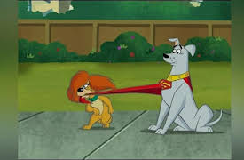 Krypto The Superdog: The Complete First Season: Superdog? Who's Superdog?/ The Good Life