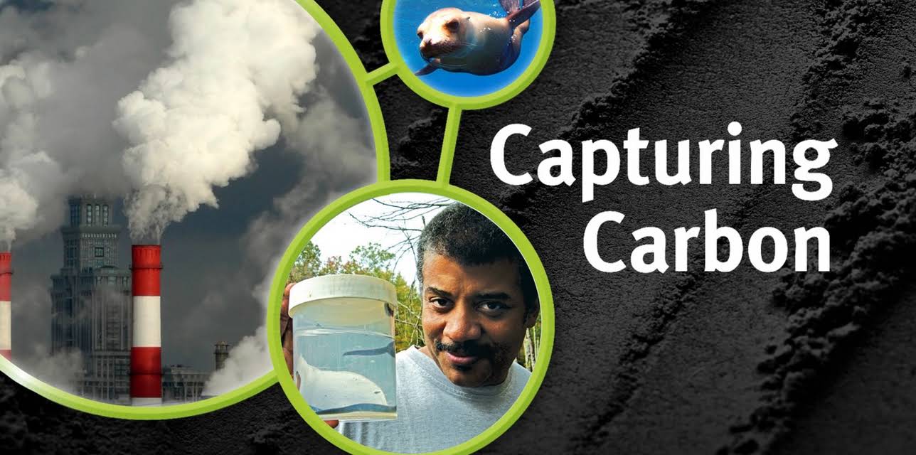 Capturing Carbon (2005)