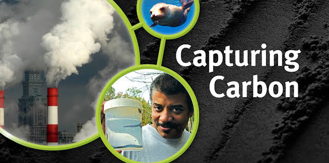 Capturing Carbon (2005)
