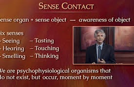 The Science of Mindfulness: A Research-Based path to Well-Being: Who Am I - The Perils of Self