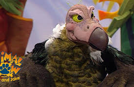 Jim Henson's Animal Show: Featuring: Sea Otter, Vulture.