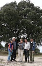 Greta Schiller as Director