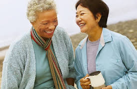 The Great Ideas of Philosophy, 2nd Edition: Aristotle on Friendship