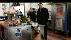 Hudson y Rex (T2): Ep.12 Para chuparse los dedos