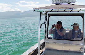 Wardens: Fun in The Sun