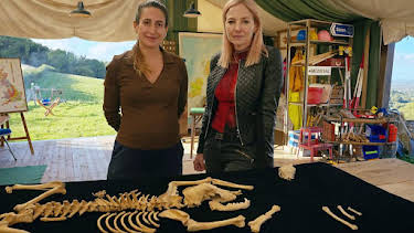 2:15 PM: Digging for Britain (S13) | BBC Two | 2/8 2026