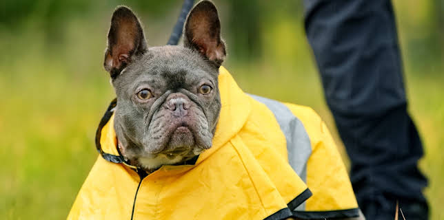 12:10: Fra bølle til bestevenn: Ut av komfortsonen | NRK 1 | 11/8 2025