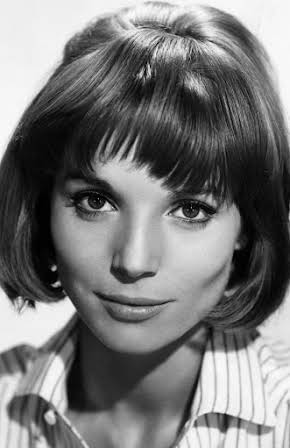 Elsa Martinelli as 