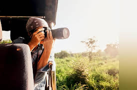 The Great Tours: African Safari: Photographic Safaris